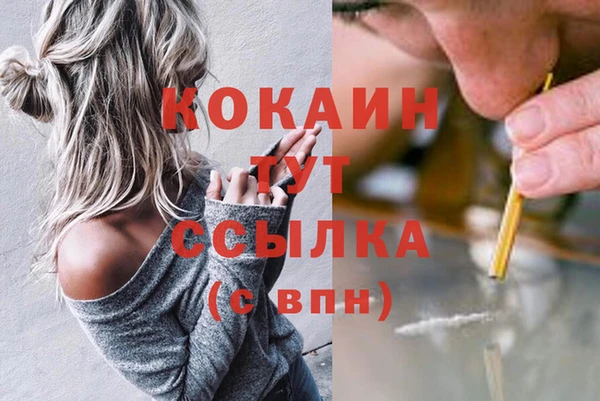 не бодяженный Бородино