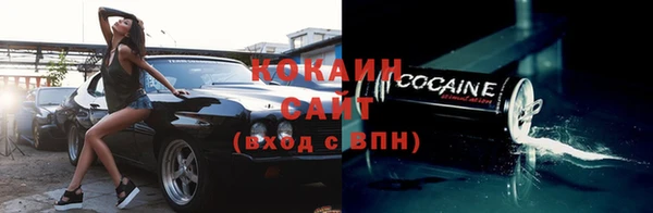 не бодяженный Бородино