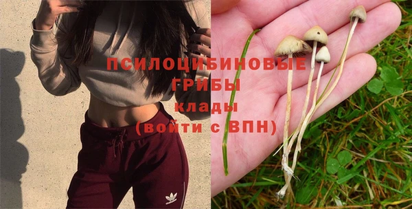 не бодяженный Бородино