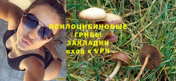 не бодяженный Бородино