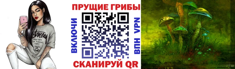 Галлюциногенные грибы прущие грибы  Купить закладки  Борзя 